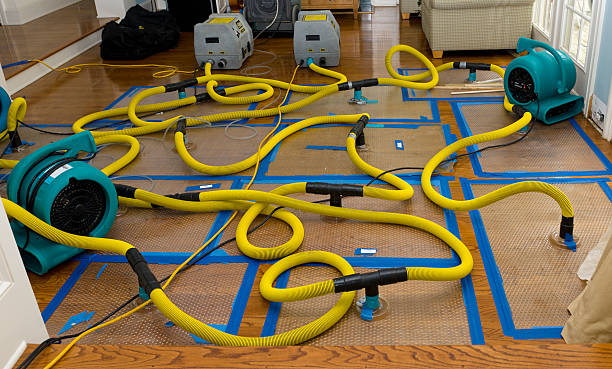 Professional Flood Damage Restoration technician working in Fairview, WV