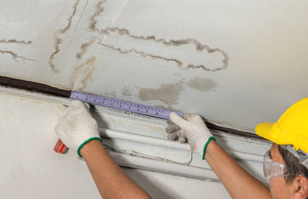 Affordable Water Damage Repair solutions in Fairview, WV